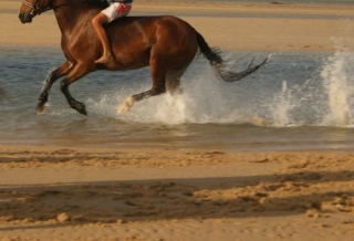 En la playa